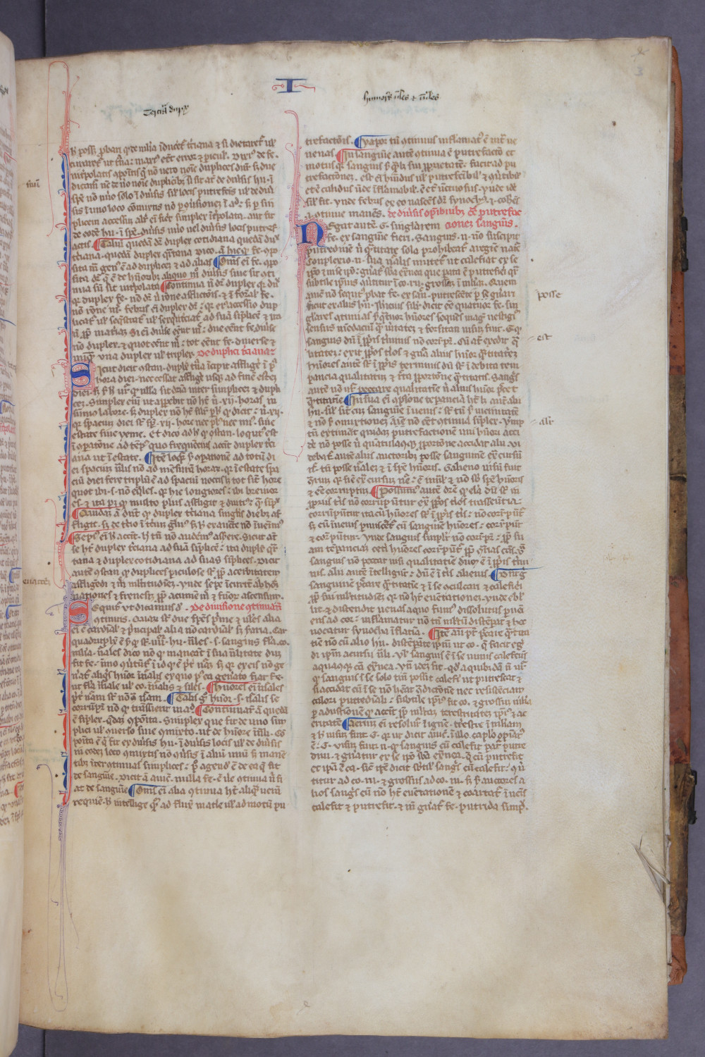 Folio 3 recto